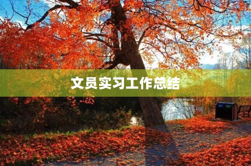 文员实习工作总结(5篇) 文员实习工作总结(5篇)