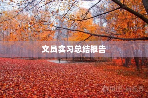 文员实习总结报告(5篇) 文员实习总结报告(5篇)