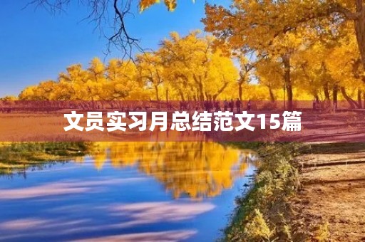 文员实习月总结范文15篇