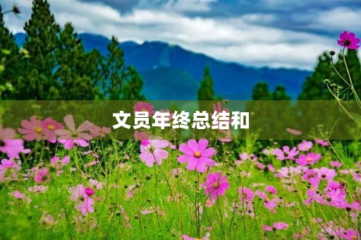 文员年终总结和