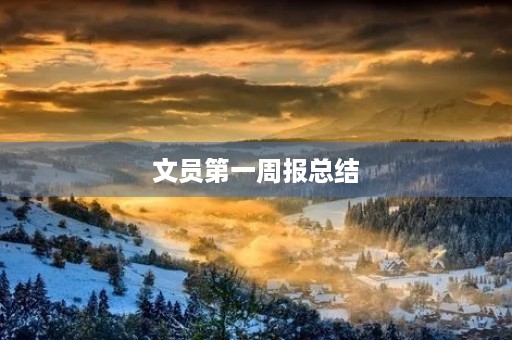 文员第一周报总结