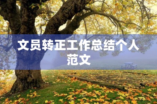文员转正工作总结个人范文