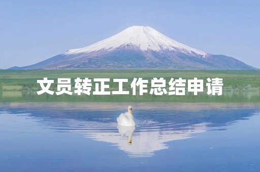 文员转正工作总结申请