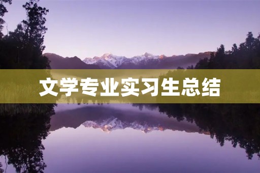 文学专业实习生总结