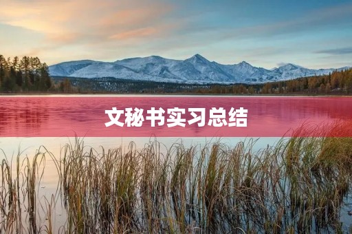 文秘书实习总结