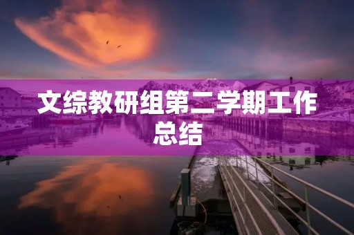 文综教研组第二学期工作总结