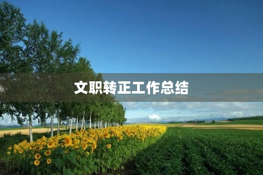 文职转正工作总结