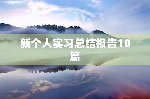 新个人实习总结报告10篇