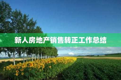 新人房地产销售转正工作总结