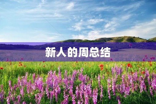 新人的周总结