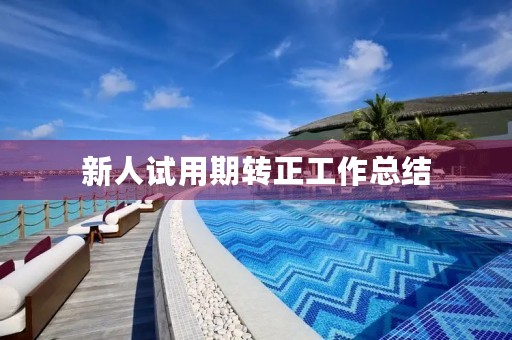 新人试用期转正工作总结