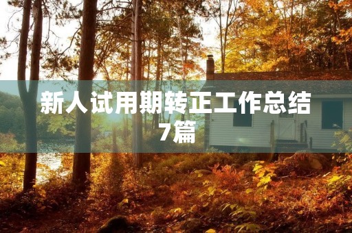 新人试用期转正工作总结7篇