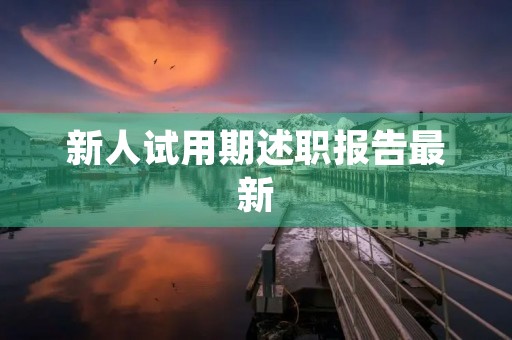 新人试用期述职报告最新【文本】