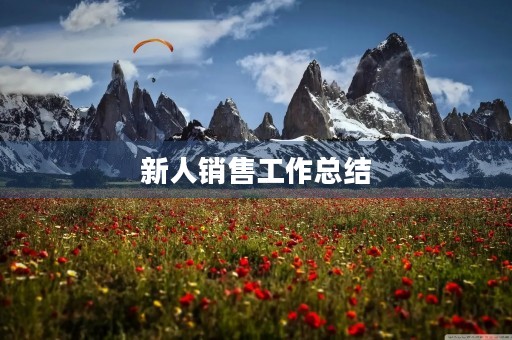 新人销售工作总结