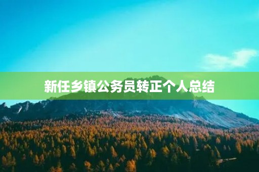 新任乡镇公务员转正个人总结