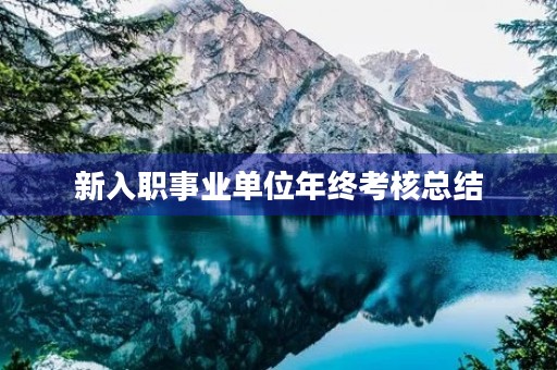 新入职事业单位年终考核总结