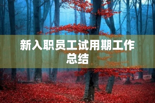 新入职员工试用期工作总结