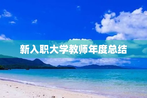 新入职大学教师年度总结