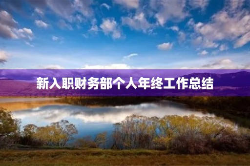 新入职财务部个人年终工作总结