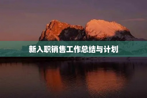 新入职销售工作总结与计划