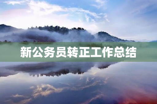 新公务员转正工作总结