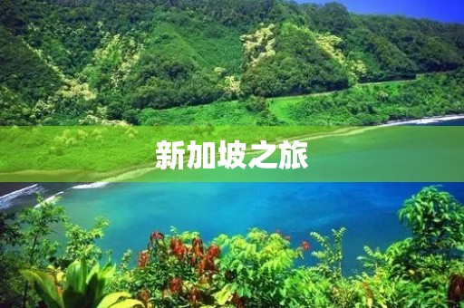 新加坡之旅