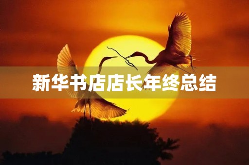 新华书店店长年终总结