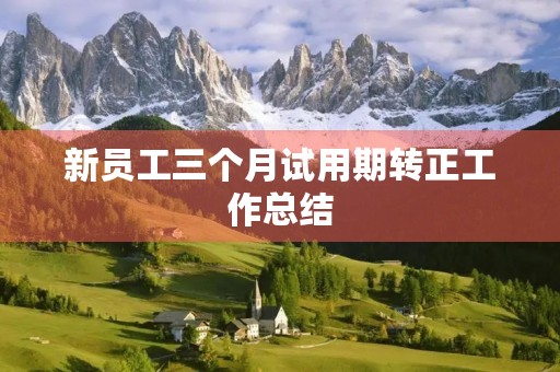 新员工三个月试用期转正工作总结