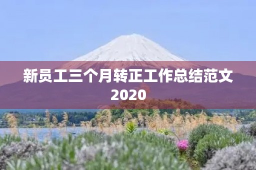 新员工三个月转正工作总结范文2020