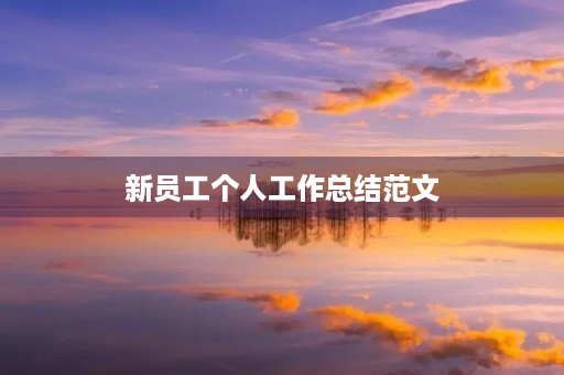 新员工个人工作总结范文