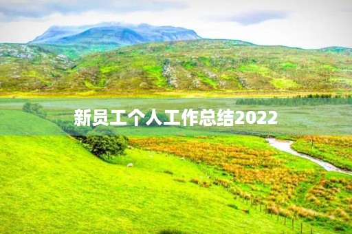 新员工个人工作总结2022