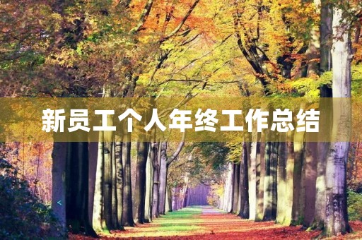 新员工个人年终工作总结