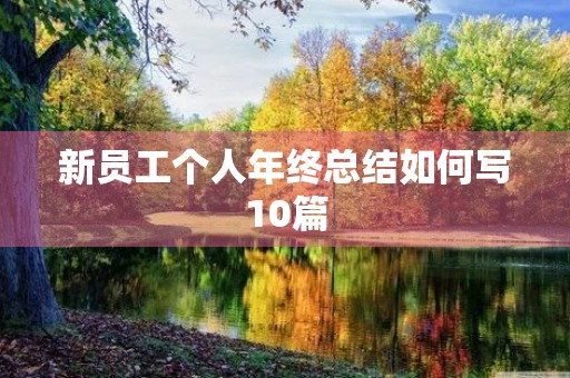 新员工个人年终总结如何写10篇 新员工个人年终总结如何写10篇