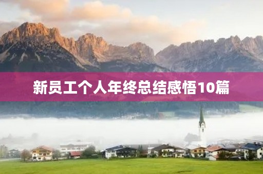 新员工个人年终总结感悟10篇 新员工个人年终总结感悟10篇