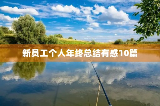 新员工个人年终总结有感10篇 新员工个人年终总结有感10篇