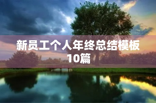 新员工个人年终总结模板10篇