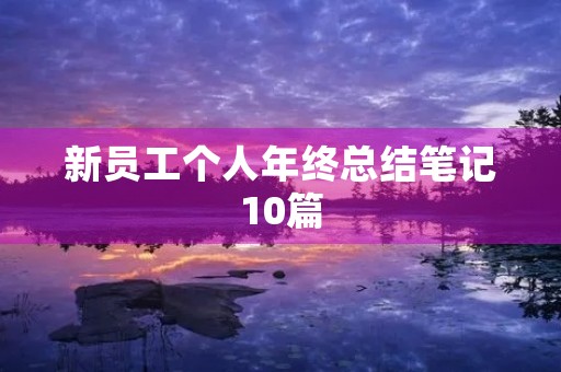 新员工个人年终总结笔记10篇