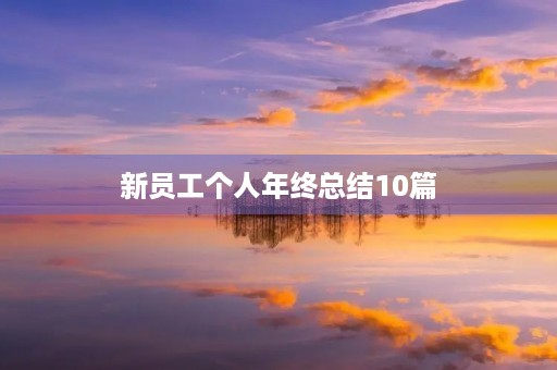 新员工个人年终总结10篇 新员工个人年终总结10篇