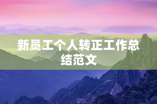 新员工个人转正工作总结范文