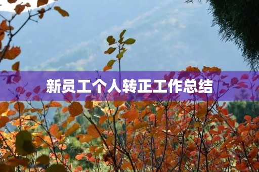 新员工个人转正工作总结