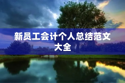 新员工会计个人总结范文大全