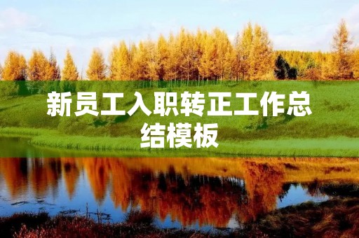 新员工入职转正工作总结模板（10篇）