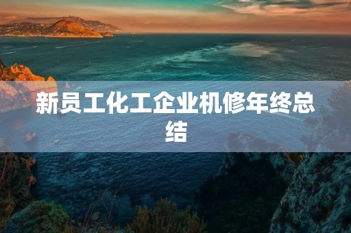 新员工化工企业机修年终总结 新员工化工企业机修年终总结