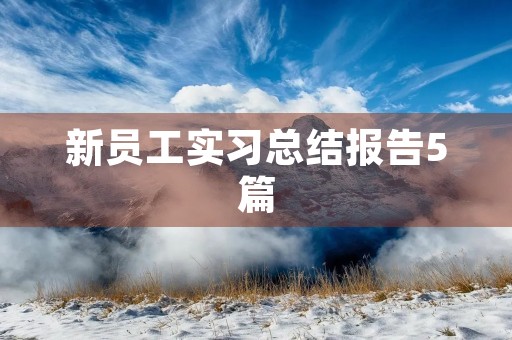 新员工实习总结报告5篇 新员工实习总结报告5篇