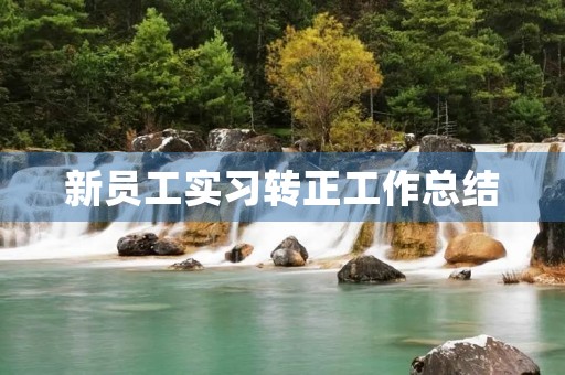新员工实习转正工作总结