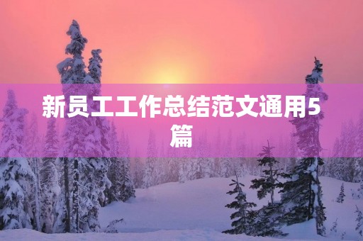 新员工工作总结范文通用5篇 新员工工作总结范文通用5篇