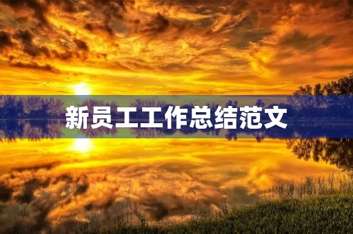 新员工工作总结范文