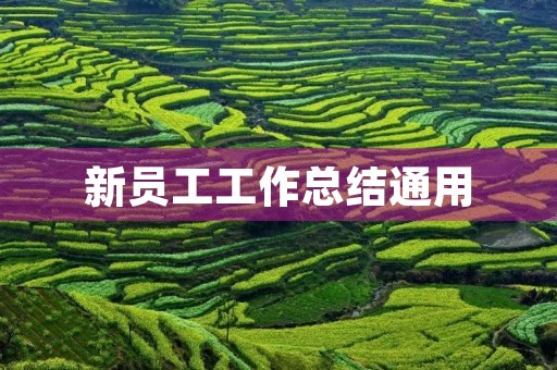 新员工工作总结通用