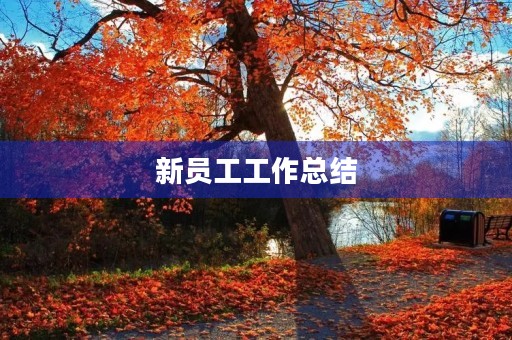 新员工工作总结