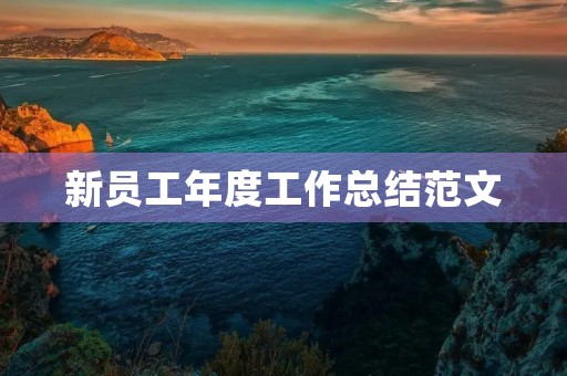 新员工年度工作总结范文
